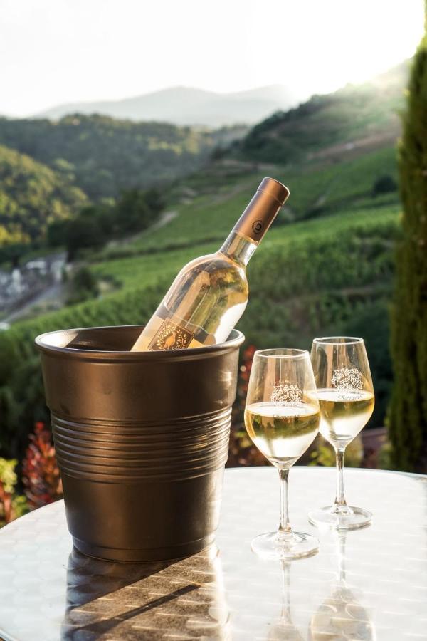 Wine Passion Panoramic Ξενοδοχείο Chavanay Εξωτερικό φωτογραφία