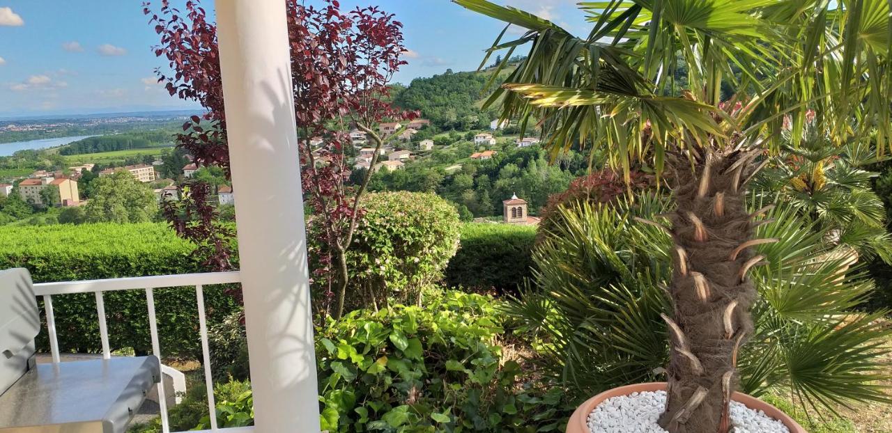 Wine Passion Panoramic Ξενοδοχείο Chavanay Εξωτερικό φωτογραφία