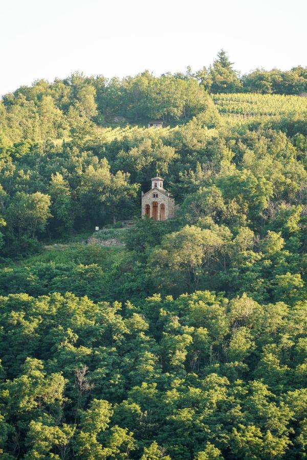 Wine Passion Panoramic Ξενοδοχείο Chavanay Εξωτερικό φωτογραφία
