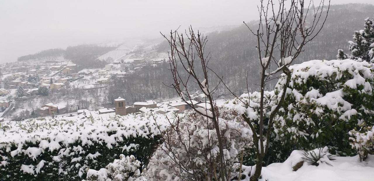 Wine Passion Panoramic Ξενοδοχείο Chavanay Εξωτερικό φωτογραφία