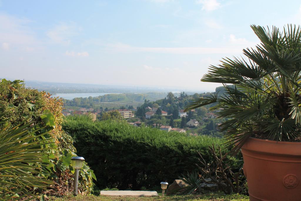 Wine Passion Panoramic Ξενοδοχείο Chavanay Εξωτερικό φωτογραφία