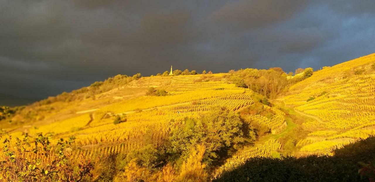 Wine Passion Panoramic Ξενοδοχείο Chavanay Εξωτερικό φωτογραφία