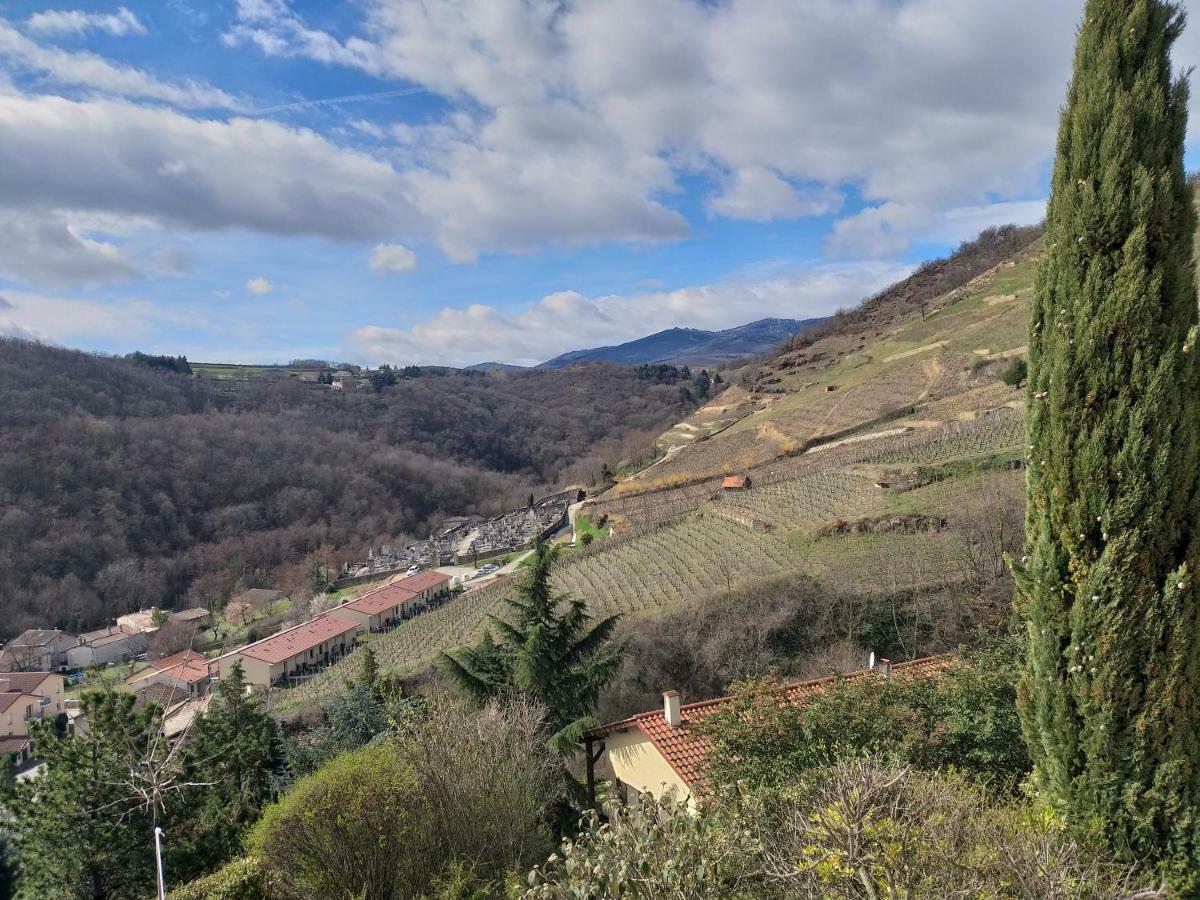 Wine Passion Panoramic Ξενοδοχείο Chavanay Εξωτερικό φωτογραφία